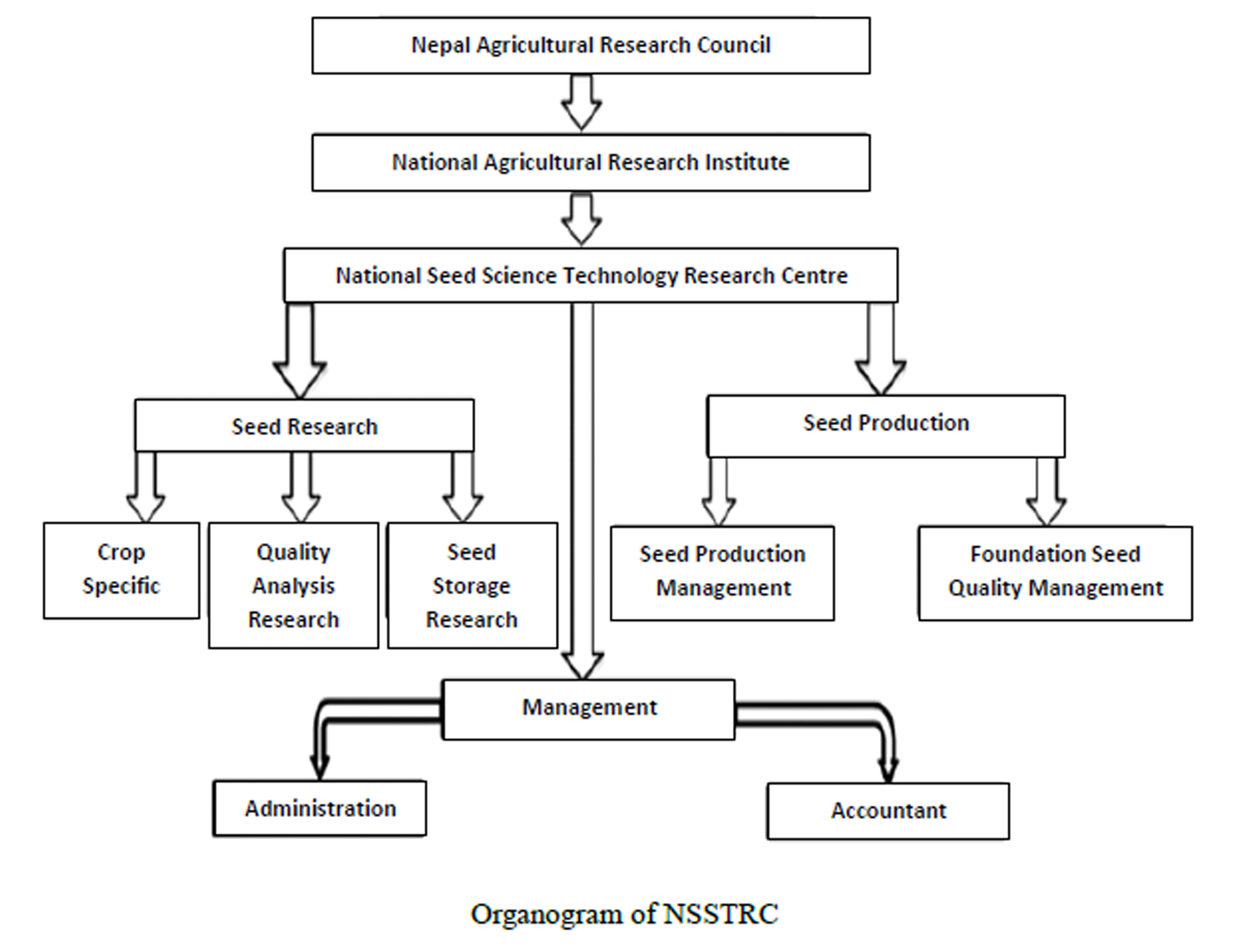 Organization Structure